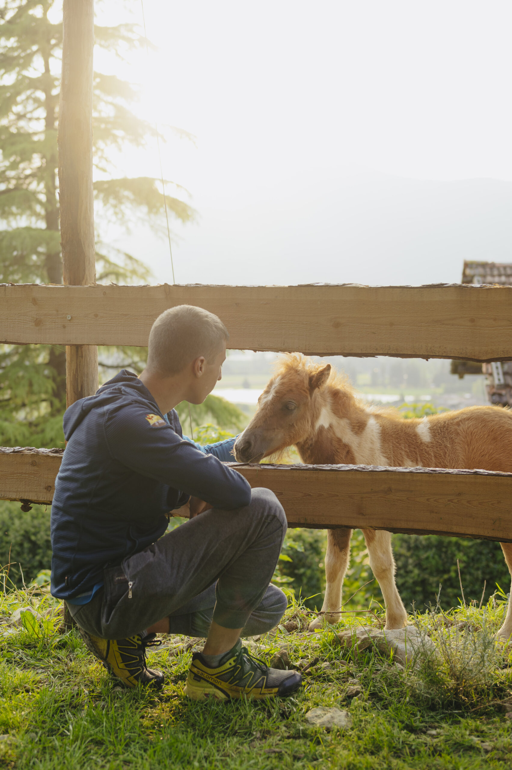 Animali Agriconda lungo il Sentiero della Gioconda