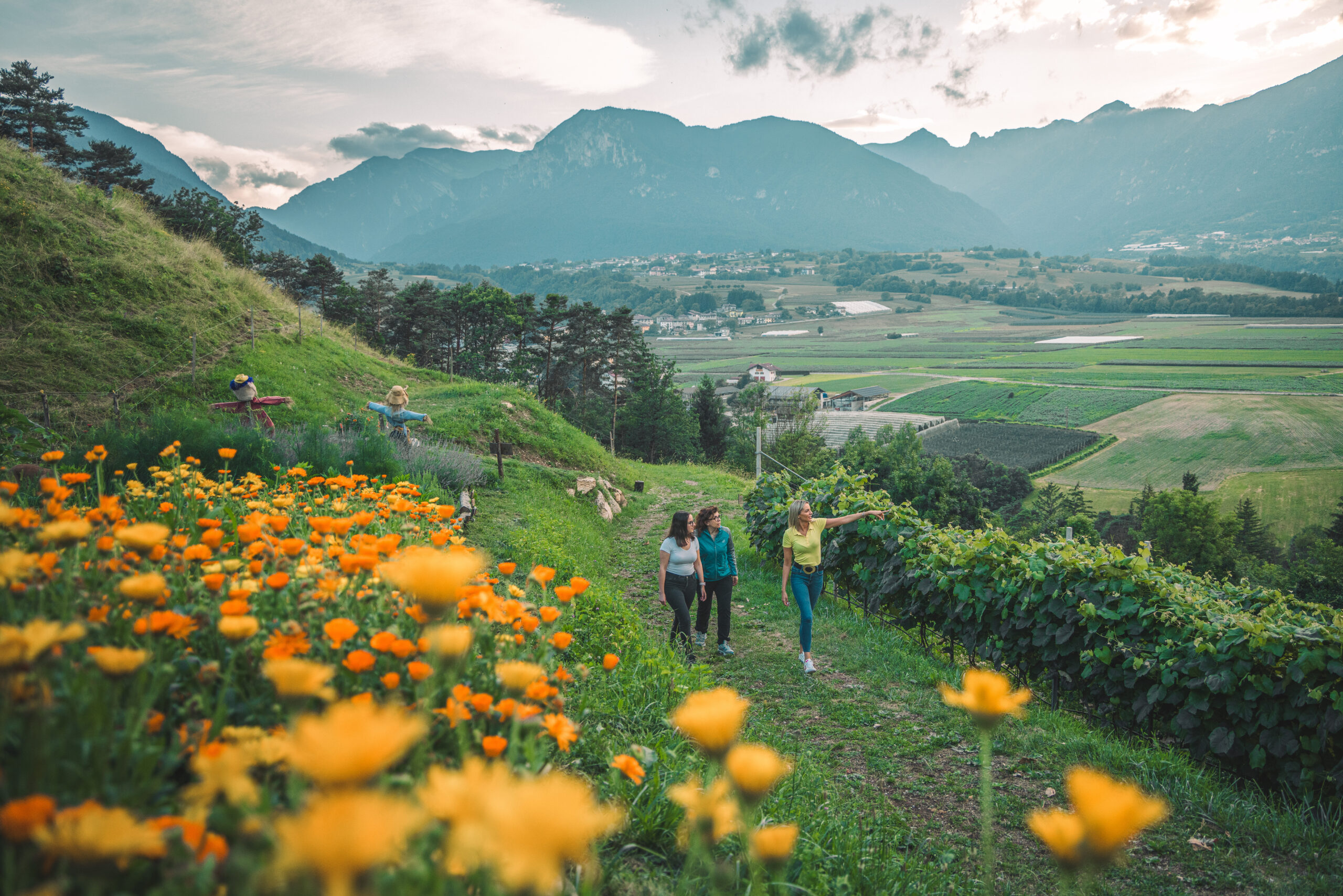 Salita al Maso e Agribreak Agriconda