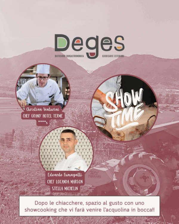 Deges DAY - immagine 3