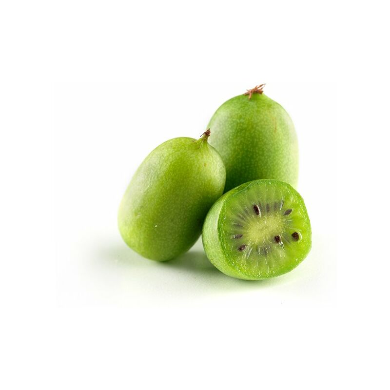 Baby kiwi raccolti da Agriconda