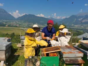 Avventura dell’Ape Regina a Comano Terme | Agriconda