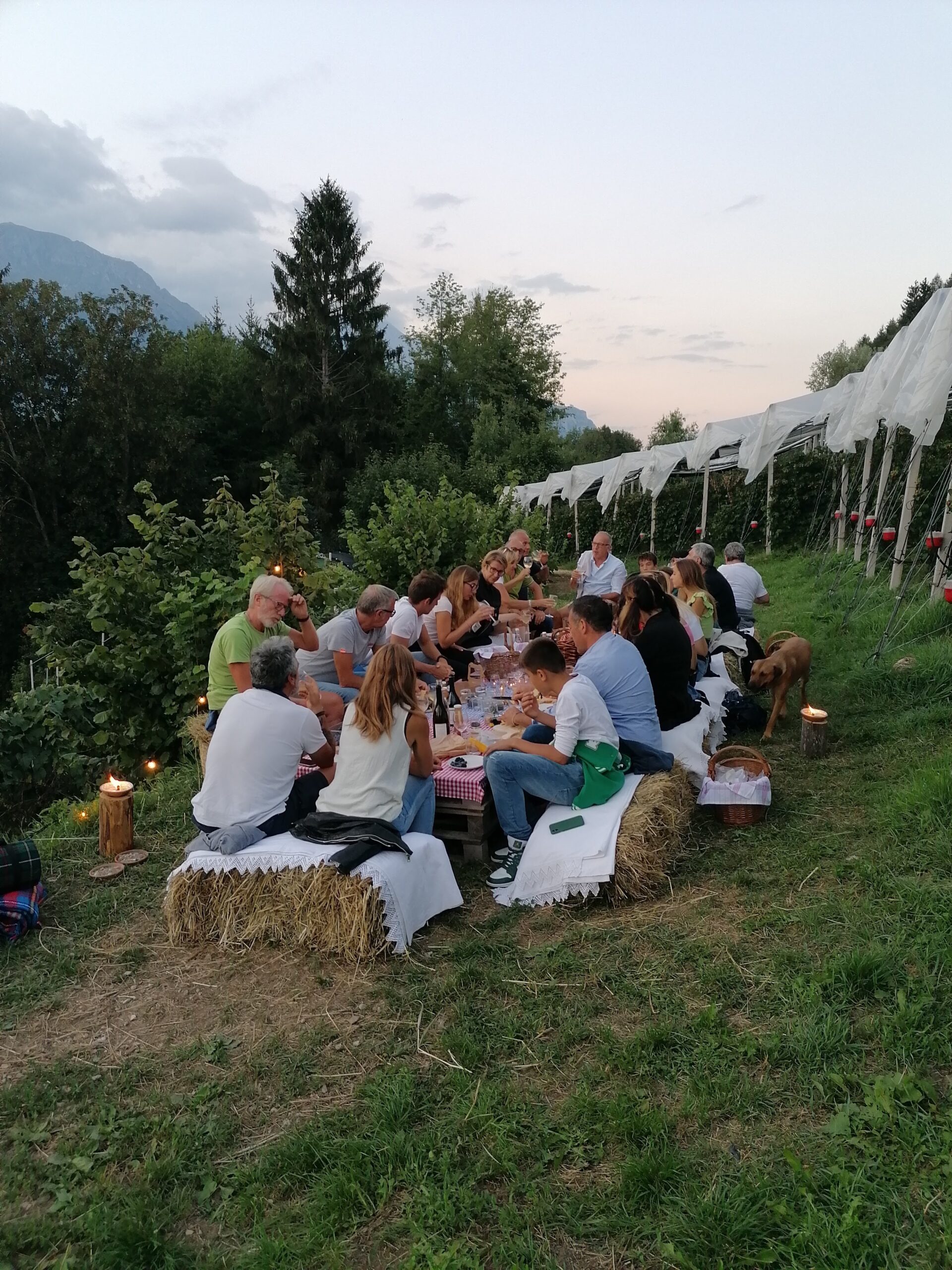 Vista e allestimento del Picnic fino al Tramonto da Agriconda