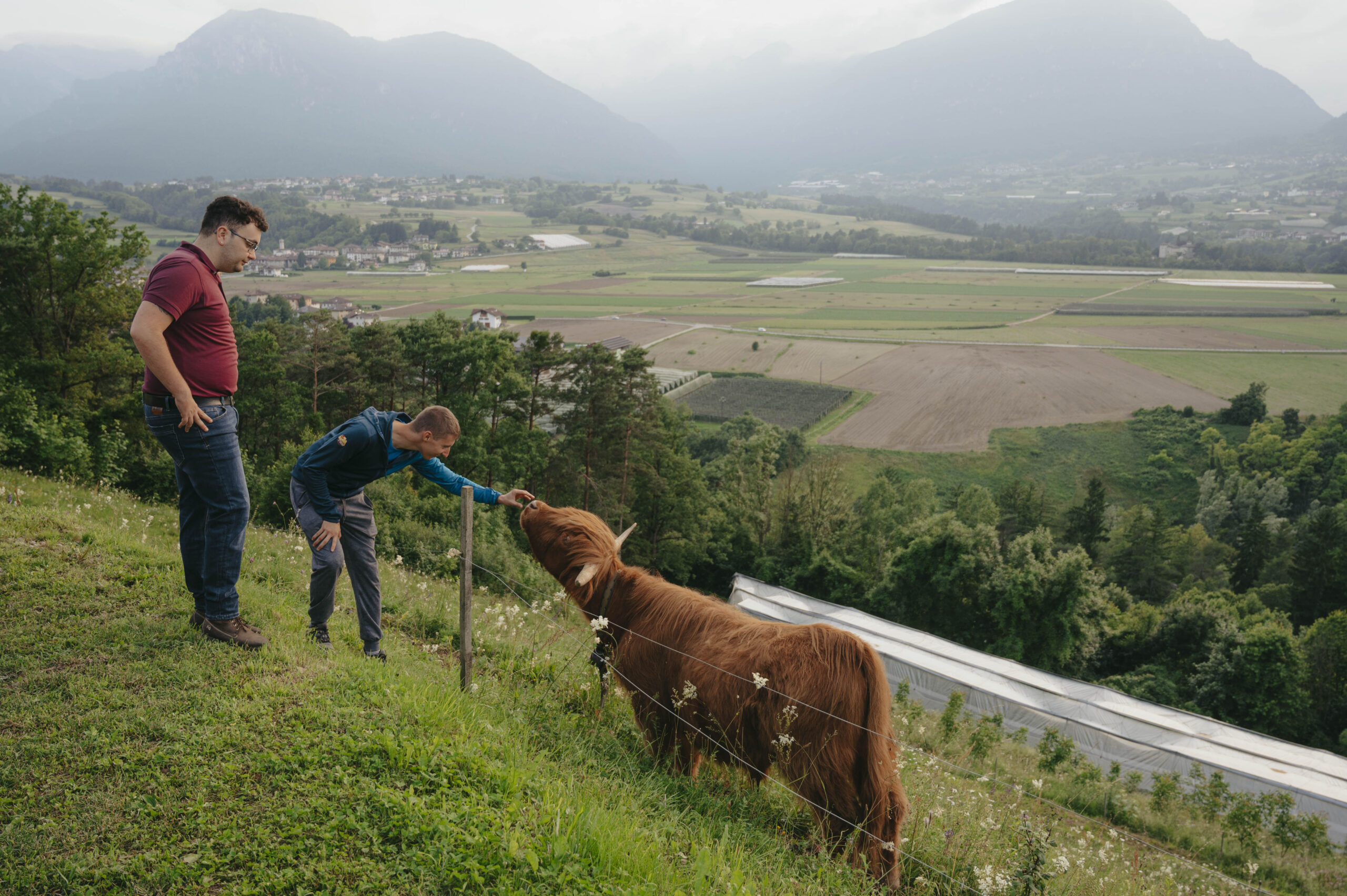 Un bambino incontra un animale Agriconda con la valle sullo sfondo
